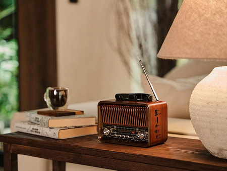 Radio FM TRACER RTX200