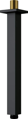 Wylewka prysznicowa sufitowa - 250 mm (NAC N48K) - Deante