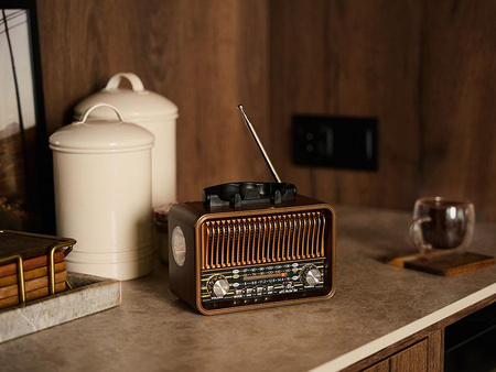 Radio FM TRACER RTX200