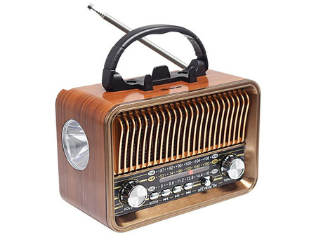Radio FM TRACER RTX200