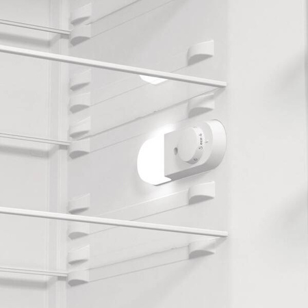 Chłodziarka GORENJE R619EEW5