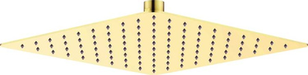 Głowica prysznicowa stalowa - 250x250 mm (NAC Z02K) - Deante
