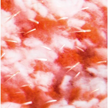 Zestaw do sprzątania z mopem LT8036 MOP 2W1 32X11CM PUSH LAMART