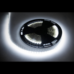 sznur diodowy 25m Rebel (1500x5050 SMD) zimny biały, 12V