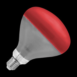 Lampa na podczerwień Rebel R125, 100W, 220-240V