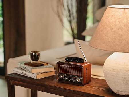 Radio FM TRACER RTX200