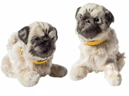 Maskotka Piesek interaktywny - mops