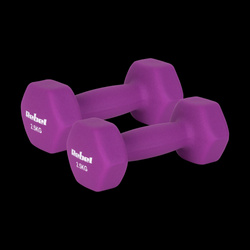 Hantelki żeliwne neoprenowe HEX 2x2.5kg, REBEL ACTIVE