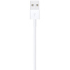 Apple Kabel Lightning - USB 0,5 m (885909707973) - Apple