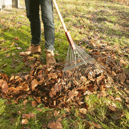 Grabie do trawy CAT K-Series Steel 26" - szerokość 66cm (0841308191508) - Cat