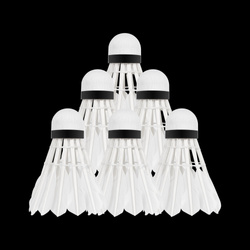 Lotki piórowe do badmintona z pierza gęsiego, tuba 6szt, REBEL ACTIVE