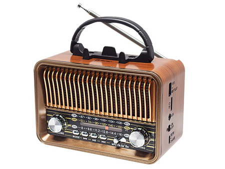 Radio FM TRACER RTX200