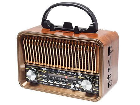 Radio FM TRACER RTX200