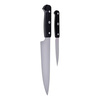Zestaw 2 noży ZWILLING Gourmet 36130-005-0