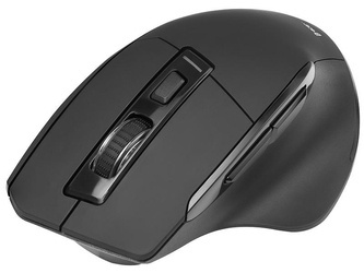 Mysz TRACER Cozy RF 2,4 GHz