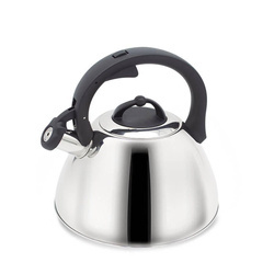 MR-1335 Czajnik 2,5 l