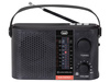 Radio RA 7F25 BT Trevi black solarne