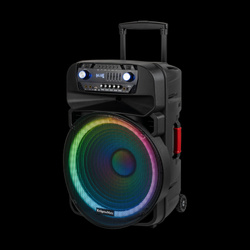 Aktywna kolumna głośnikowa (z 2 mikrofonami bezprzewodowymi UHF, SD, Bluetooth, FM, USB, LED) 60 Watt