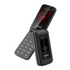 AIWA telefon FP-30-2G/BK czarny (RTV_AIWA_00172) - AIWA
