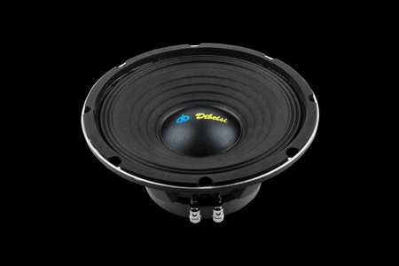 Głośnik 10&quot; DBS-PS1005-8