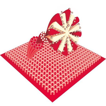 Zestaw do sprzątania z mopem LT8036 MOP 2W1 32X11CM PUSH LAMART