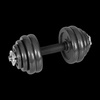 Hantle żeliwne regulowane w walizce z gryfem, zestaw 30kg REBEL ACTIVE