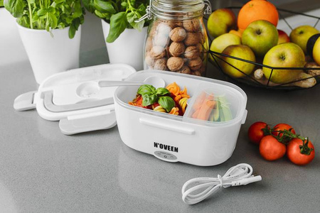Lunch Box Noveen LB310 grey