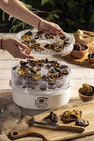 CR 6659 Suszarka do grzybów, ziół i żywności - dehydrator