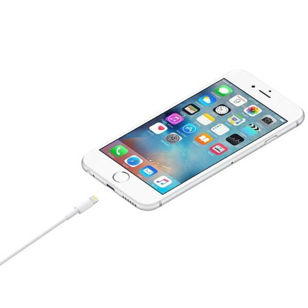 Apple Kabel Lightning - USB 0,5 m (885909707973) - Apple
