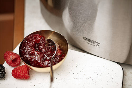 CR 3215 Toster 2 kromki