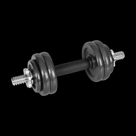 Hantle żeliwne regulowane w walizce z gryfem, zestaw 15kg REBEL ACTIVE