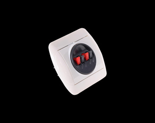 Gniazdo głośnikowe pod tynk