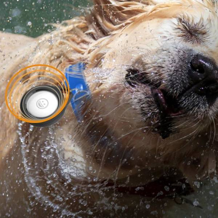 Catalyst Etui z karabińczykiem Total Protection do AirTag czarne (GSETCAT00162N0) - Catalyst