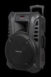 Aktywna kolumna głośnikowa (z 2 mikrofonami bezprzewodowymi UHF, SD, Bluetooth, FM, USB) 60 Watt