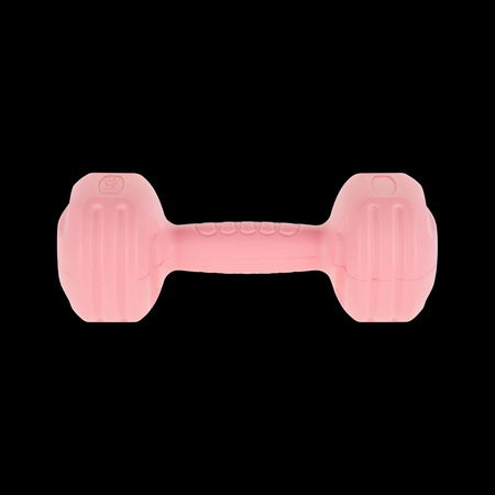 Hantelki bitumiczne 2x1.5kg, REBEL ACTIVE