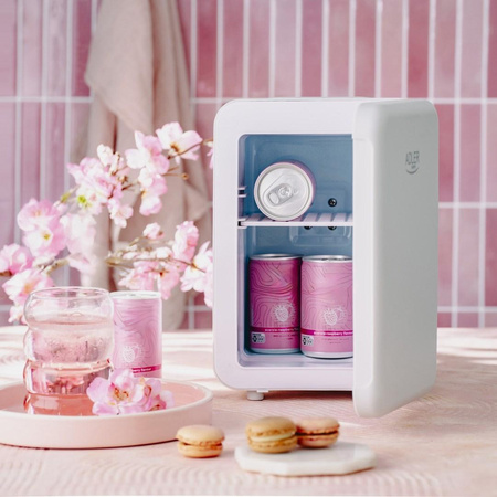 Mini lodówka ADLER AD 8084g szara