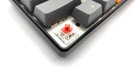 ZONE 61 - Gamingowa klawiatura mechaniczna typu short 60%, przełączniki mechaniczne silient RED, kolorowe podświetlanie, 61 klawiszy, USB-C