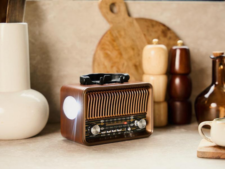 Radio FM TRACER RTX200