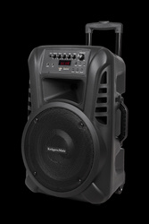 Aktywna kolumna głośnikowa (z 2 mikrofonami bezprzewodowymi UHF, SD, Bluetooth, FM, USB) 40 Watt