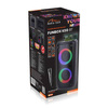 FUNBOX BT - Mocny głośnik Bluetooth 5.0 + EDR z dodatkową funkcją KARAOKE, TWS, MP3, USB, karty microSD, iluminacja RGB. Mikrofon kablowy w zestawie. Moc RMS 40W i PMPO 1000W