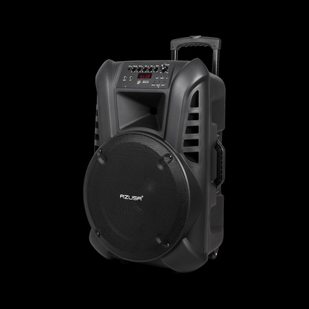 Kolumna aktywna ( z 2 mikrofonami bezprzewodowymi, SD, Bluetooth, USB) 15" 120W