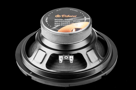 Głośnik 8" DBS-G8002 4 Ohm