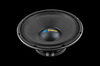 Głośnik 12&quot; DBS-PS1205-8