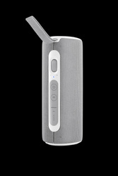 JVC Głośnik BT XS-E423G szary (4975769479175) - JVC