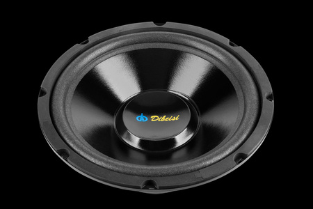 Głośnik 10" DBS-G1001 4 Ohm