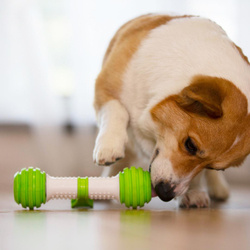 ROLLING BONE - Ruchoma, jeżdżąca, interaktywna kość-zabawka dla psów średnich i dużych