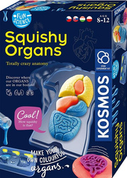 Zestaw naukowy Fun Scienc-Squishy Organs