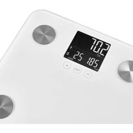 Waga osobista SBS 6025WH Body Fat Monitor Scale SENCOR